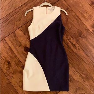 Elizabeth and James midi/short dress